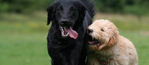 A person enjoying being clean and sober after drug rehab in Bloomington, Illinois.